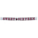 Sweet 16 Fringed Banner 1.5M X 20.3Cm