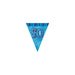 Glitz Blue 50 Flag Banner 12Ft