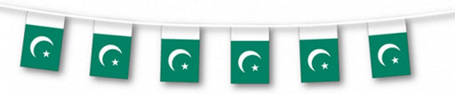 Pak Bunting Flag Lge 7M