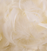 IVORY ELEGANZA FEATHERS MIXED SIZES 3'' - 5'' (50G)