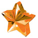 Balloon Weight Star Orange 12pk