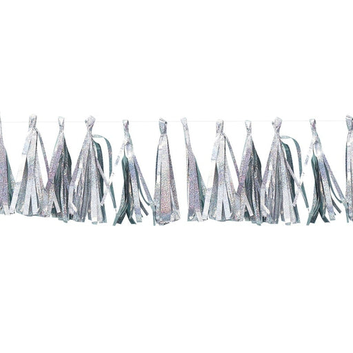 Iridescent Tassel Garland 2M Garland With 15 Tassels