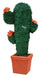 Cactus Pinata