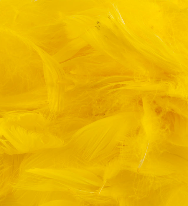 Yellow Eleganza Feathers Mixed Sizes 3'' - 5'' (50G Bag)