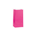 Paper Party Bags Hot Pink (12pk)