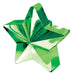 Balloon Weight Star Green